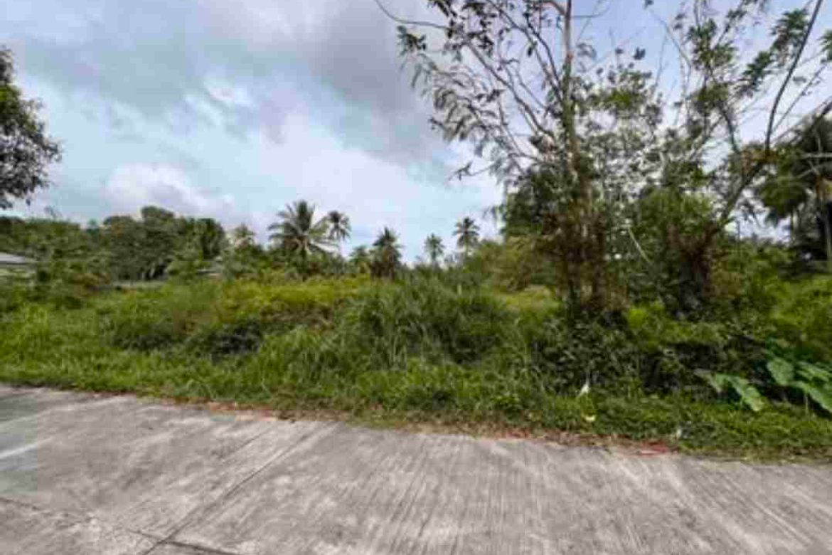Land for Sale in Liptong, Bacong, Negros Oriental – photo 4