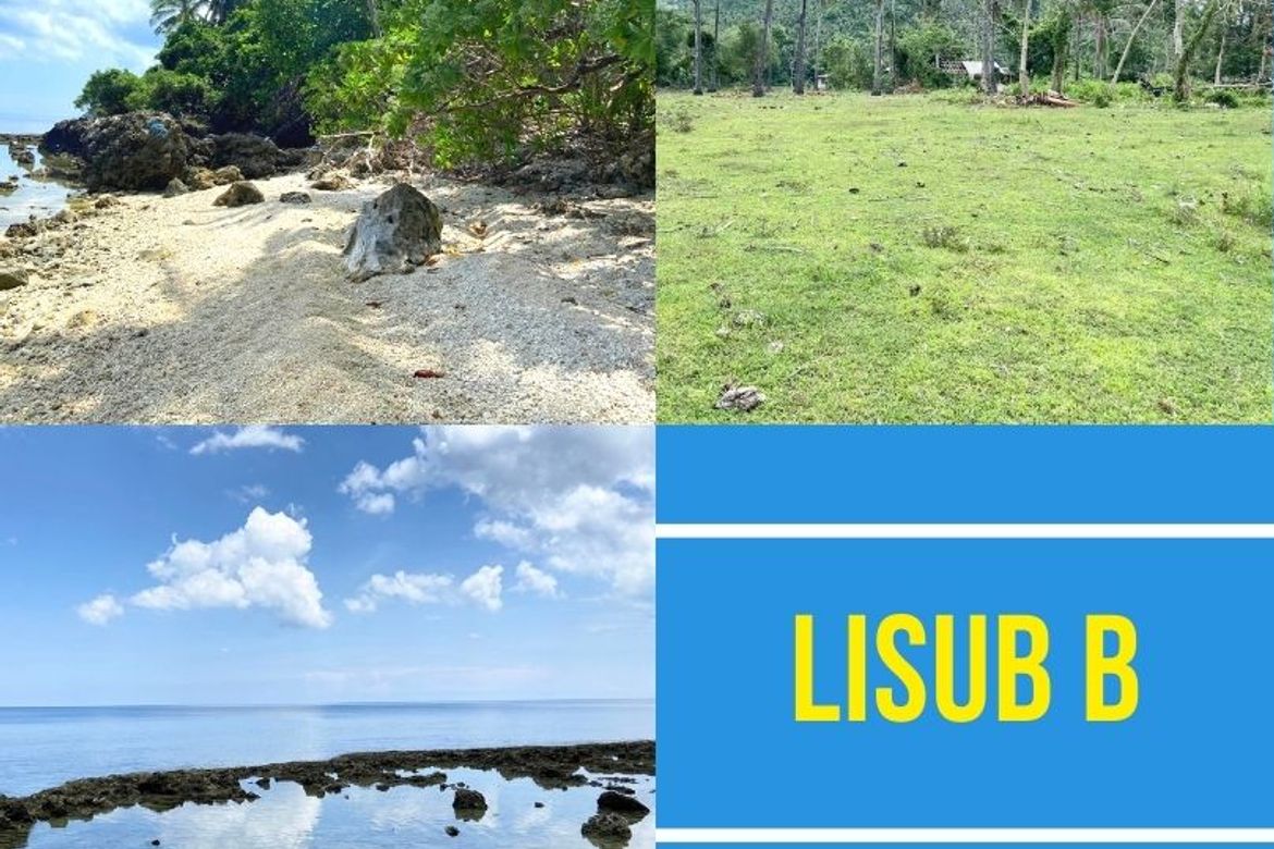 Land for Sale in Lisub B, Anini-y, Antique