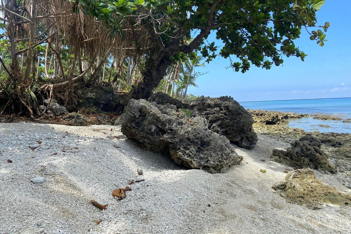Land for Sale in Lisub B, Anini-y, Antique – photo 4