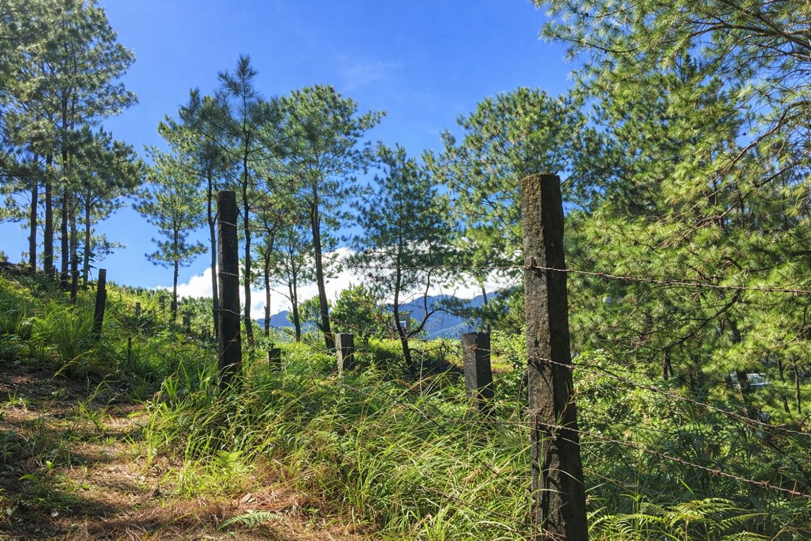 Land for Sale in Liwanag-Loakan, Baguio, Benguet