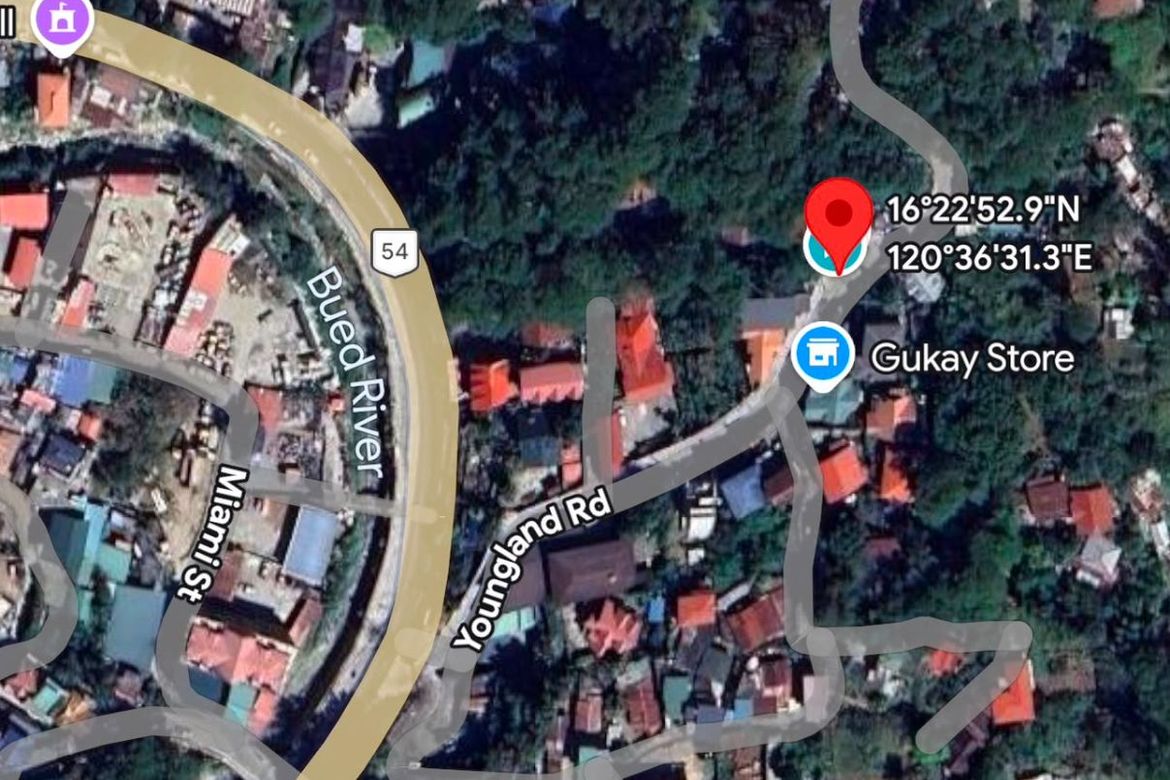 Land for Sale in Liwanag-Loakan, Baguio, Benguet – photo 7