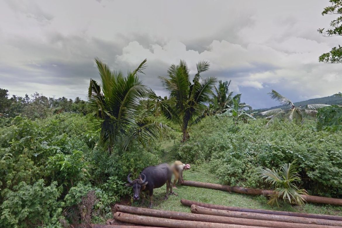 Land for Sale in Liwayway, Mauban, Quezon – photo 8