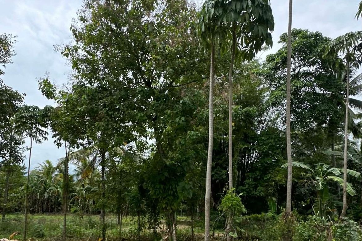 Land for Sale in Lizada, Davao City, Davao del Sur – photo 2