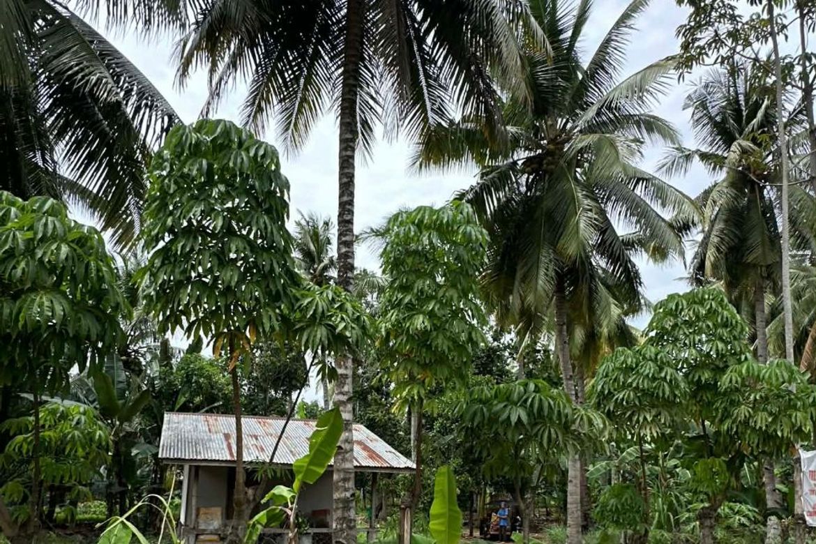 Land for Sale in Lizada, Davao City, Davao del Sur – photo 3