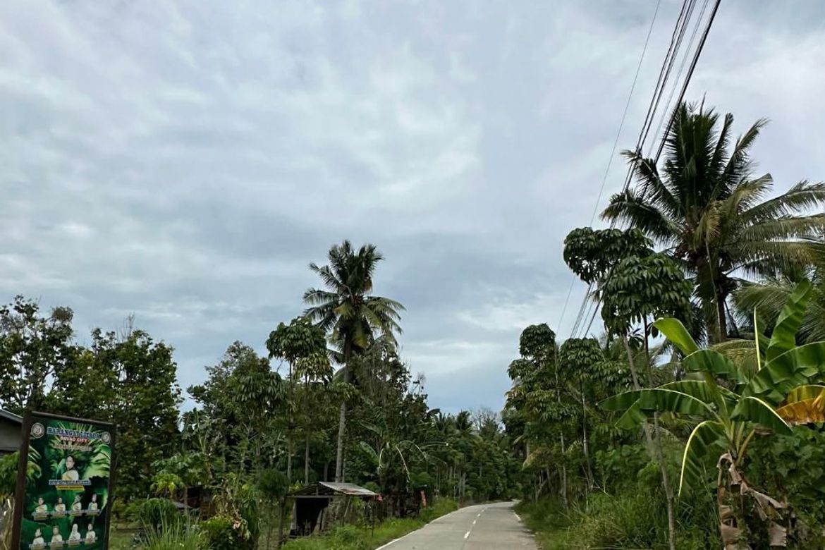 Land for Sale in Lizada, Davao City, Davao del Sur – photo 4