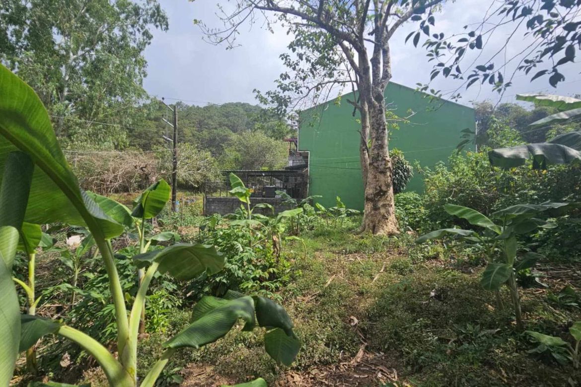 Land for Sale in Loakan Proper, Baguio, Benguet – photo 2