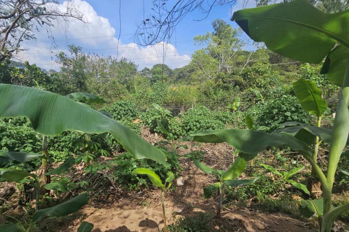 Land for Sale in Loakan Proper, Baguio, Benguet – photo 5