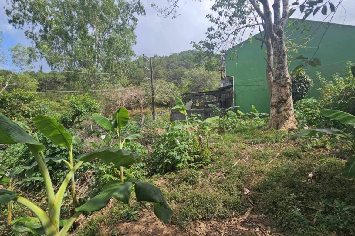Land for Sale in Loakan Proper, Baguio, Benguet – photo 7