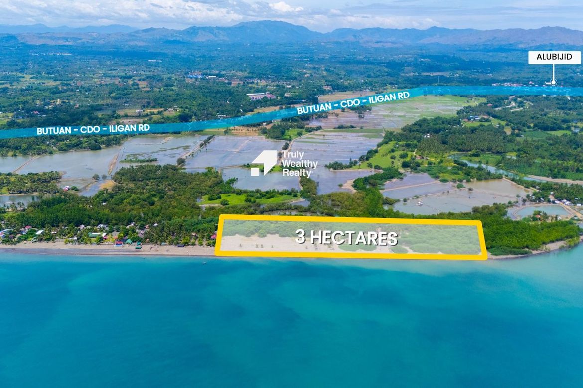 Land for Sale in Loguilo, Alubijid, Misamis Oriental – photo 7