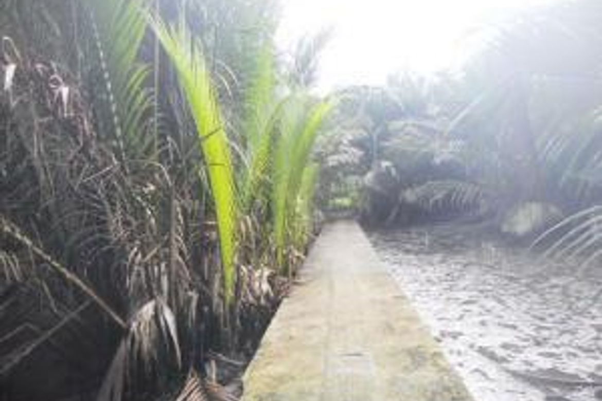 Land for Sale in Lolomboy, Bocaue, Bulacan – photo 2
