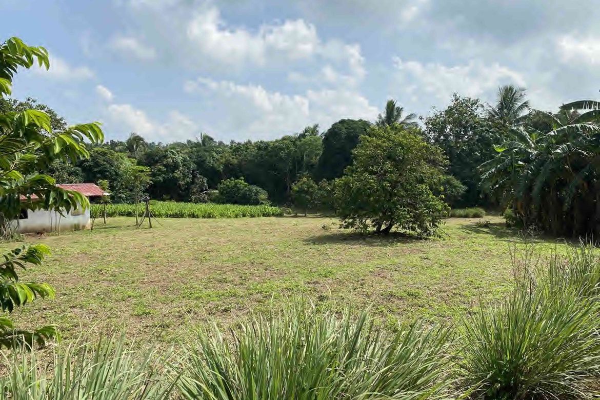 Land for Sale in Loma, Amadeo, Cavite – photo 3