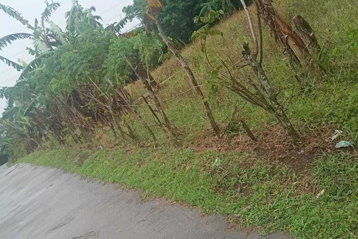 Land for Sale in Loma, Amadeo, Cavite
