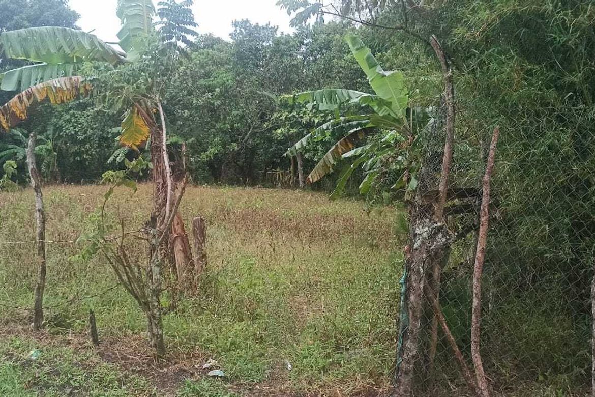 Land for Sale in Loma, Amadeo, Cavite – photo 3