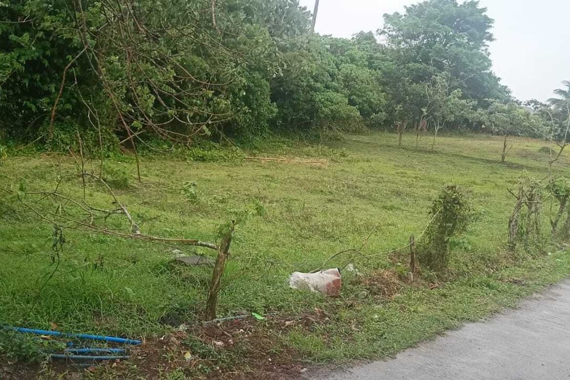 Land for Sale in Loma, Amadeo, Cavite – photo 5
