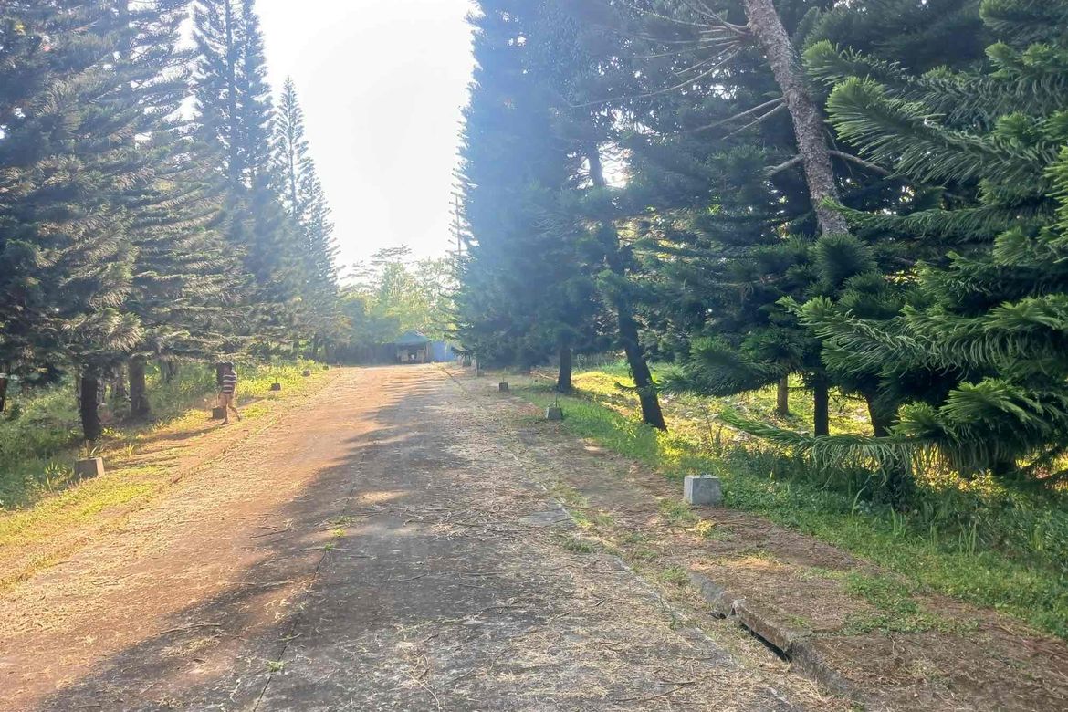 Land for Sale in Loma, Amadeo, Cavite – photo 4