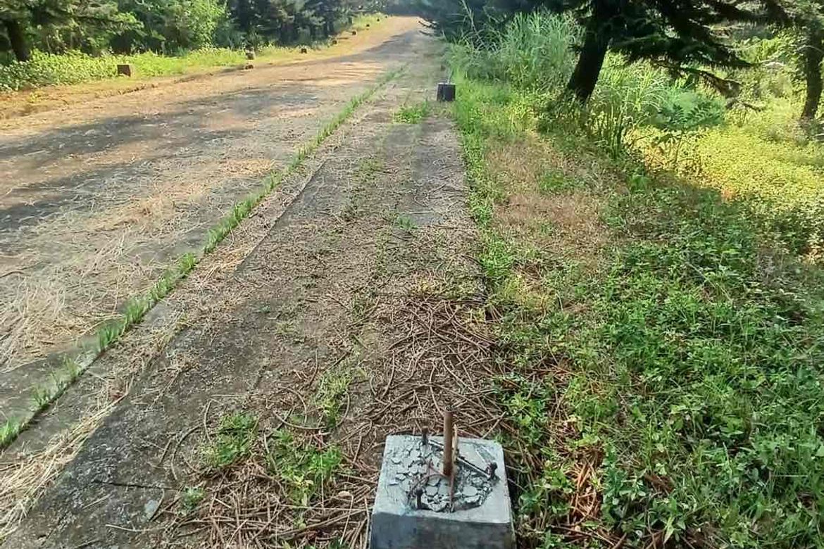 Land for Sale in Loma, Amadeo, Cavite – photo 7