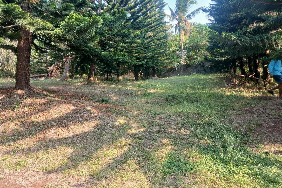 Land for Sale in Loma, Amadeo, Cavite – photo 8