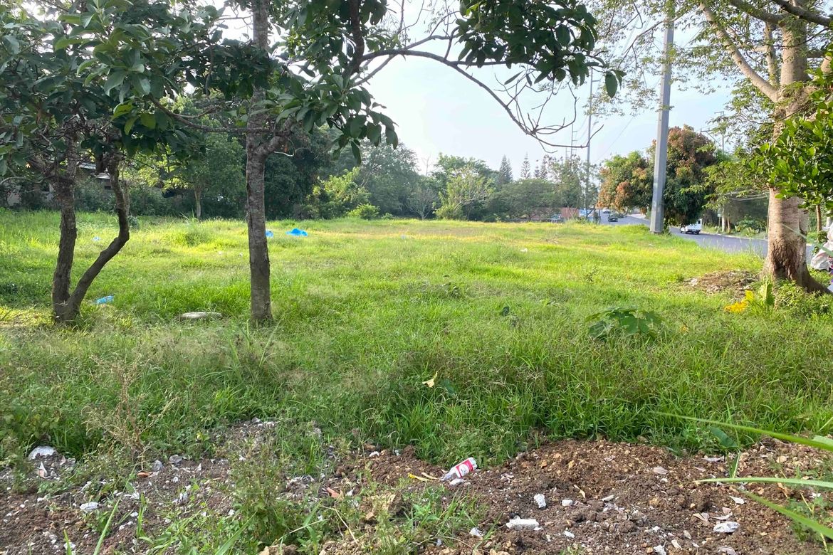 Land for Sale in Loma, Amadeo, Cavite