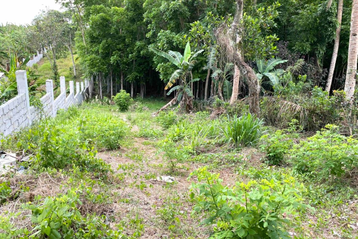 Land for Sale in Loma, Amadeo, Cavite – photo 2
