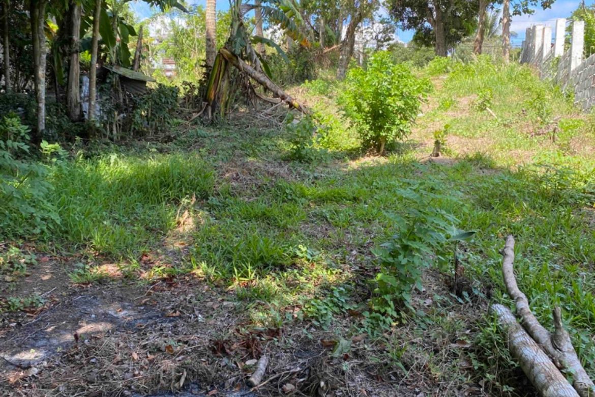Land for Sale in Loma, Amadeo, Cavite – photo 4