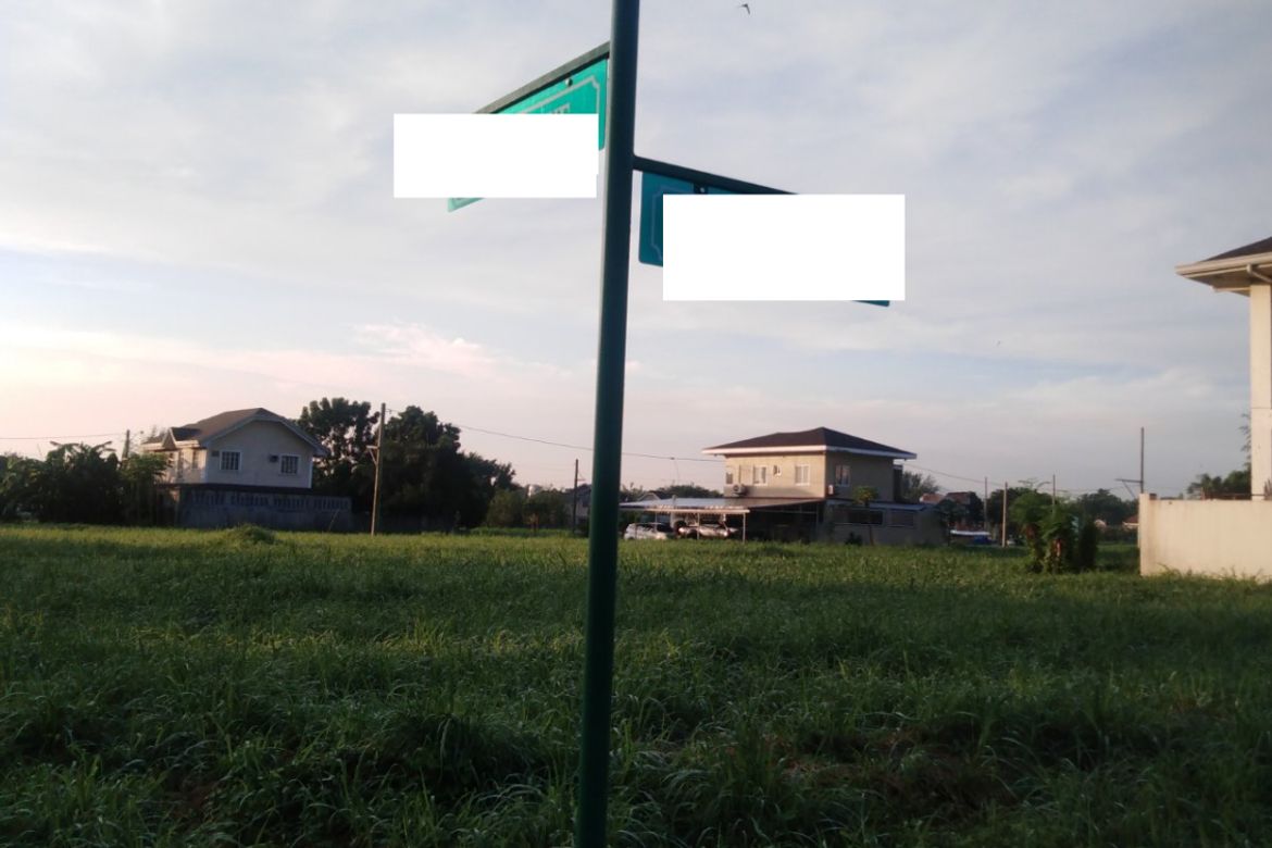 Land for Sale in Loma, Biñan, Laguna – photo 2