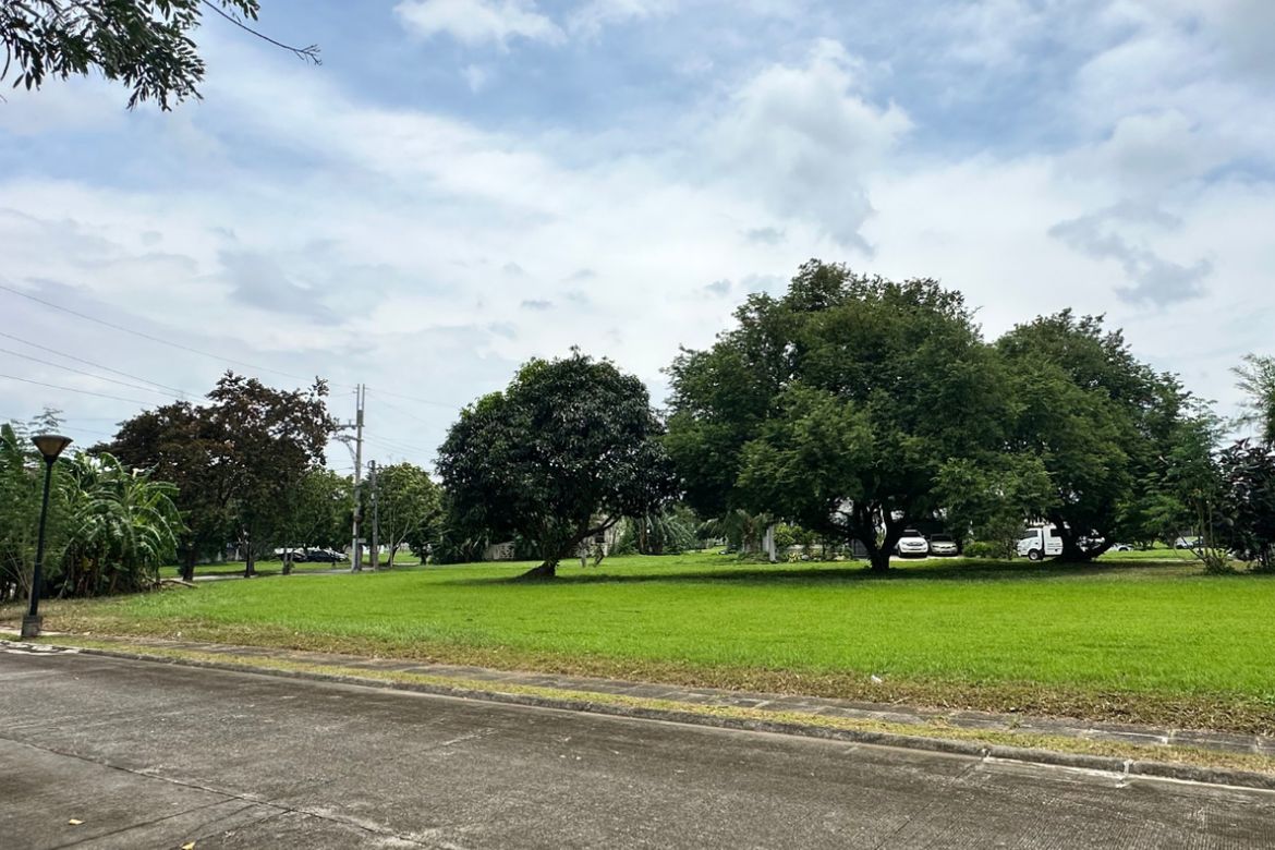 Land for Sale in Loma, Biñan, Laguna – photo 3