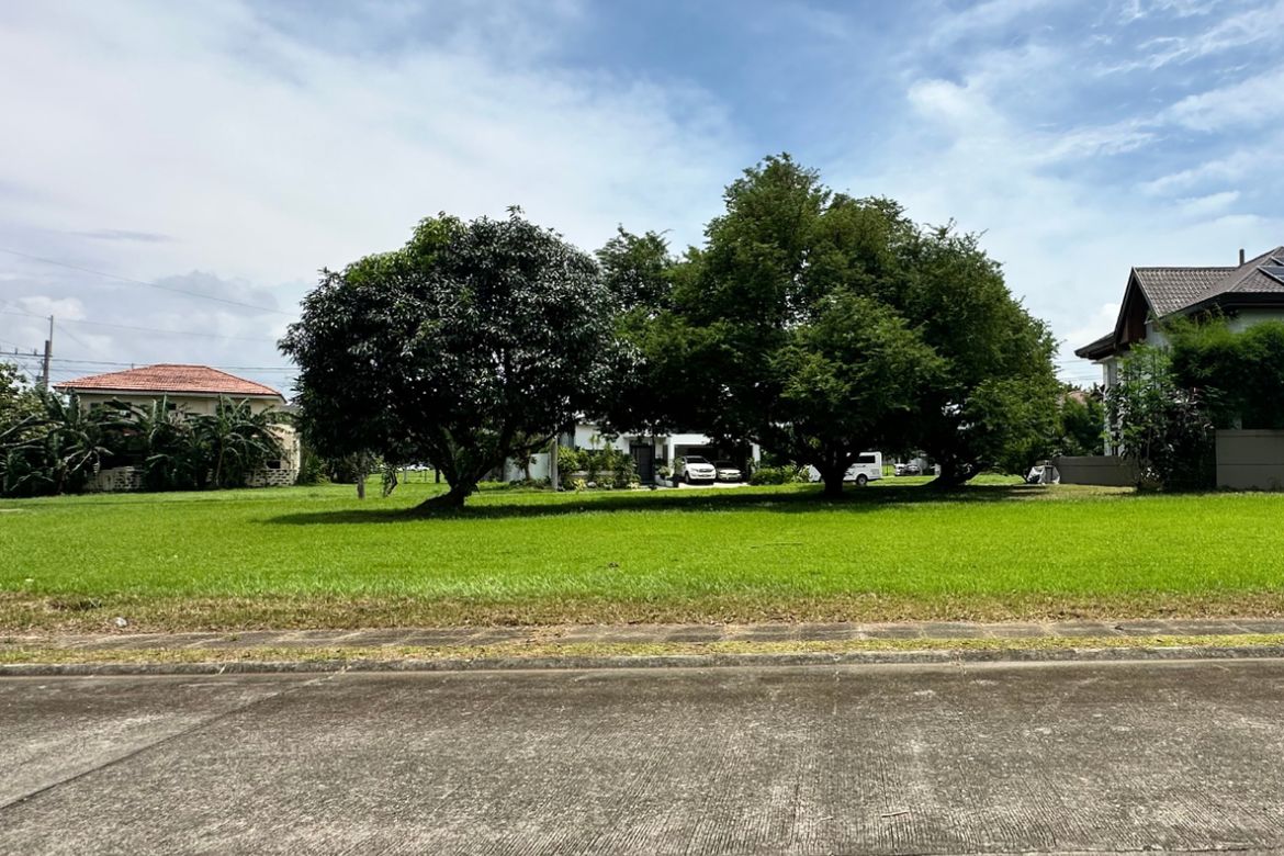 Land for Sale in Loma, Biñan, Laguna – photo 6
