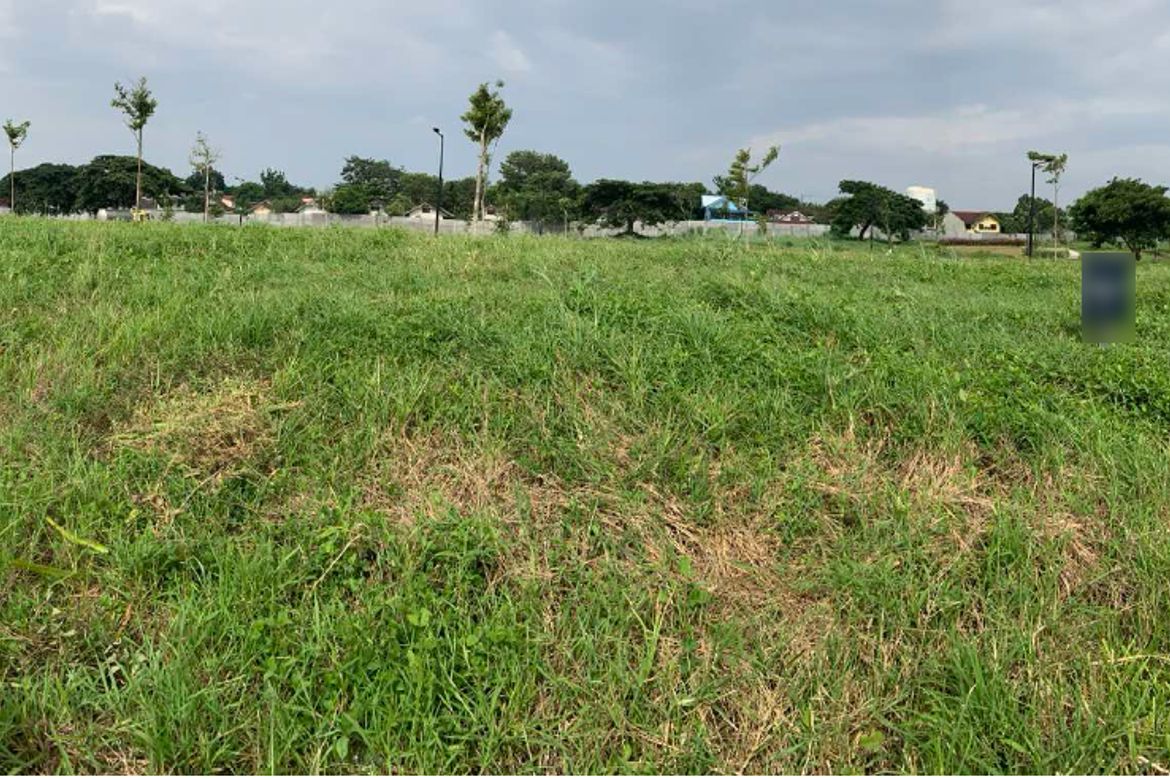 Land for Sale in Loma, Biñan, Laguna