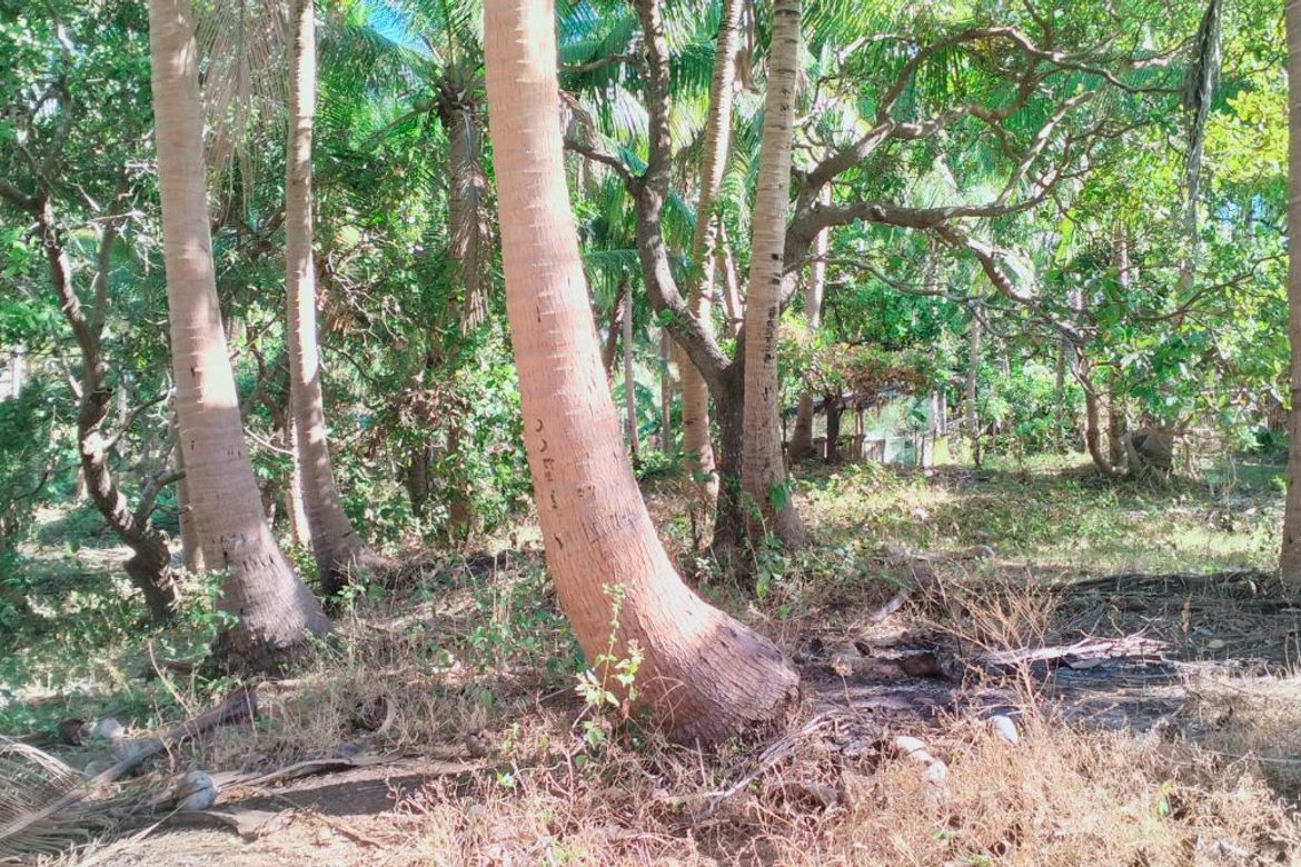 Land for Sale in Loma, Calaca, Batangas – photo 7