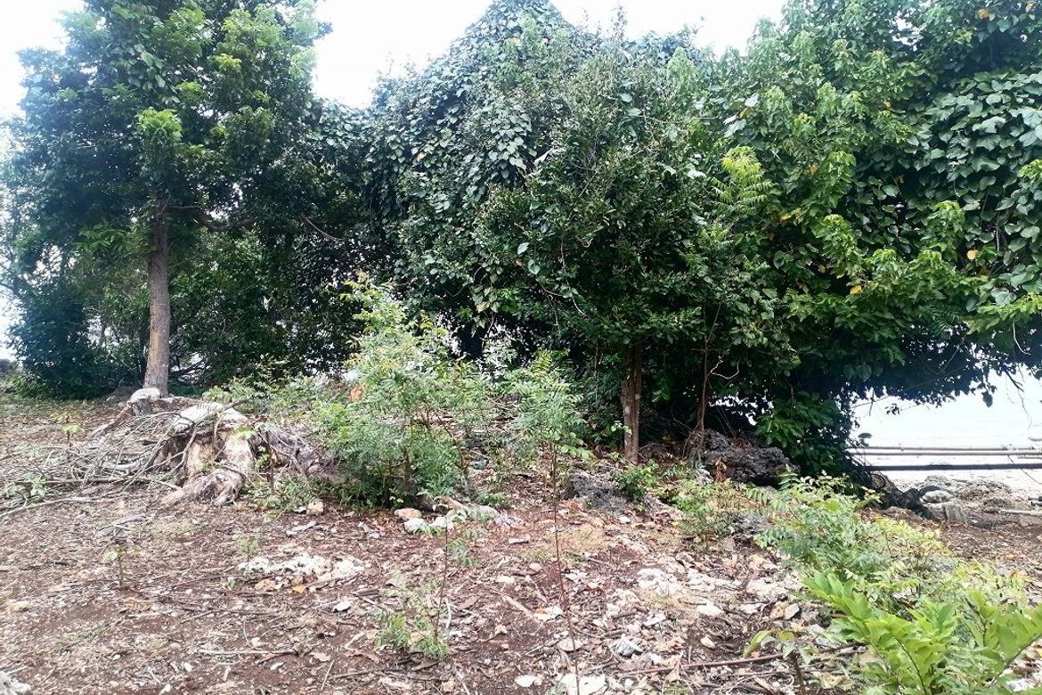 Land for Sale in Lomangcapan, Enrique Villanueva, Siquijor – photo 3