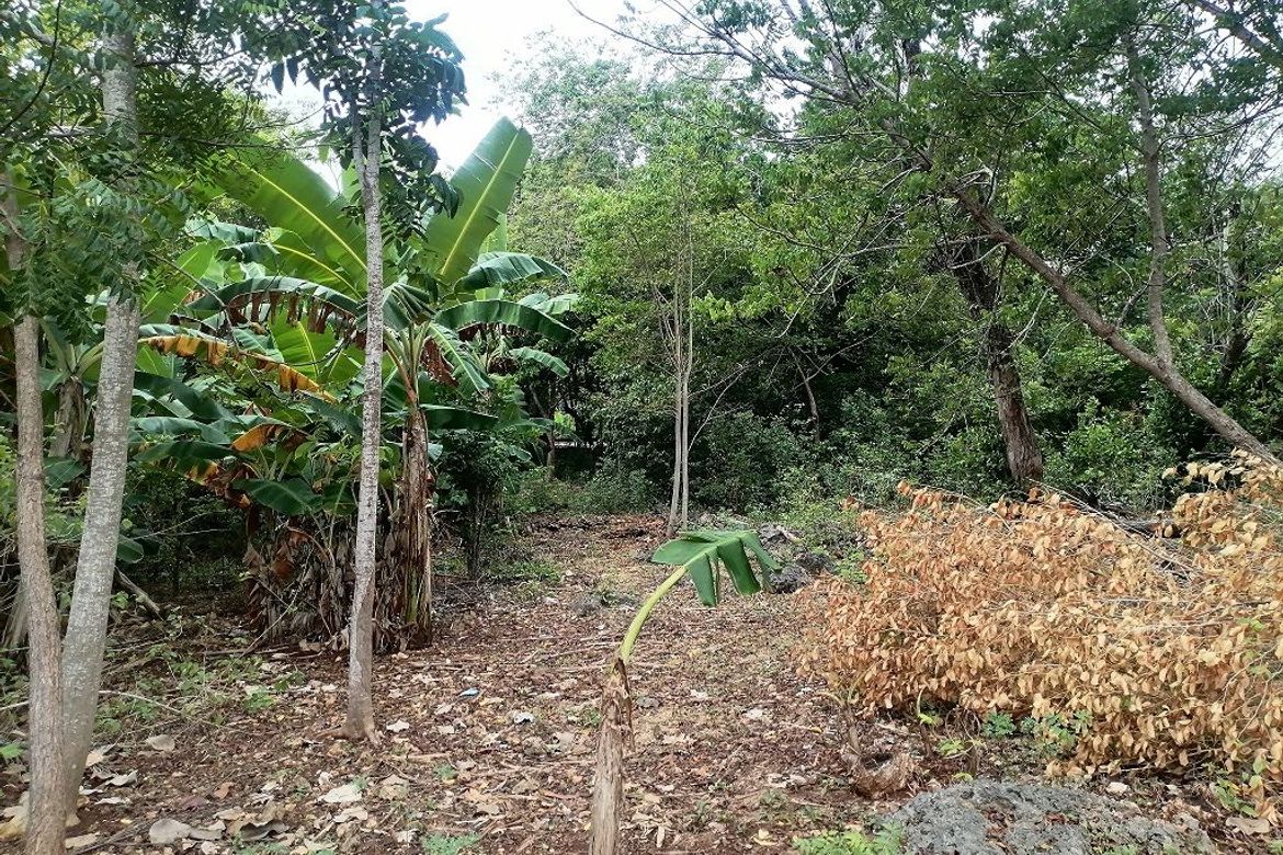 Land for Sale in Lomangcapan, Enrique Villanueva, Siquijor – photo 4