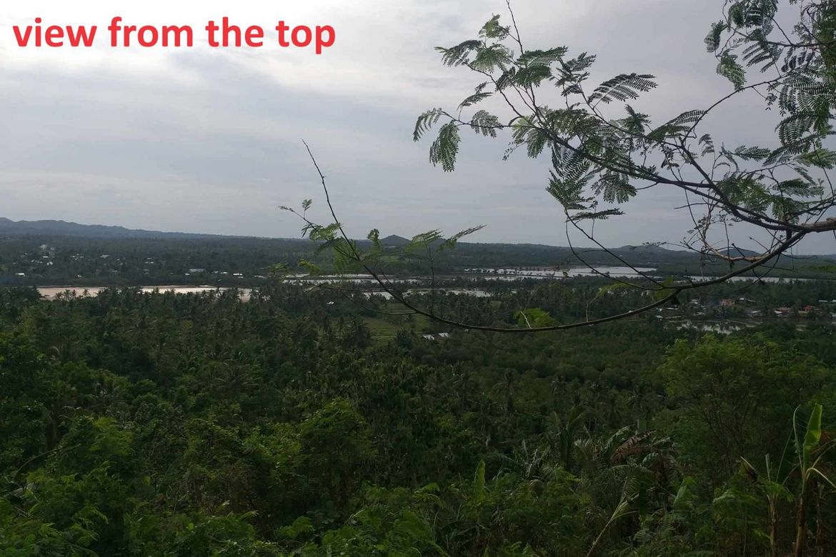 Land for Sale in Lomangog, Ubay, Bohol