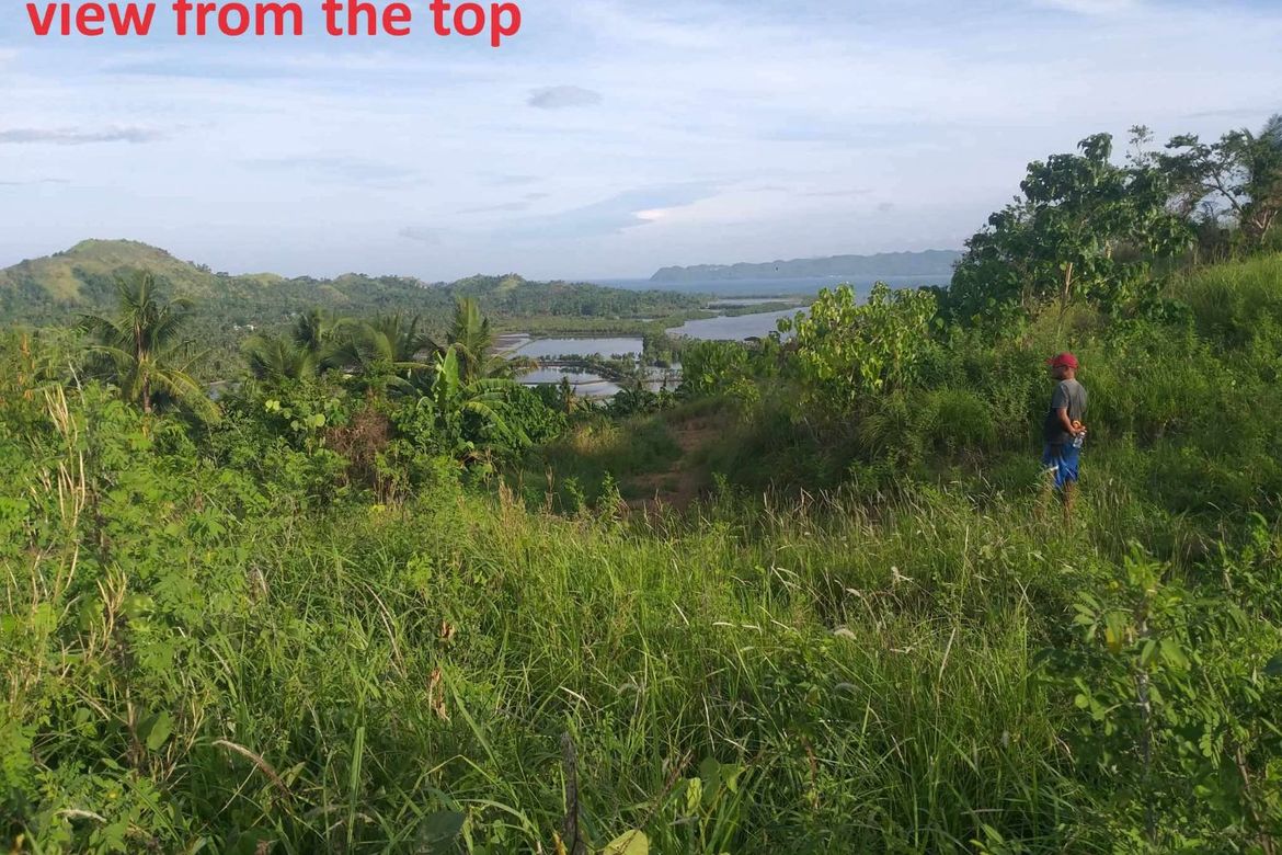 Land for Sale in Lomangog, Ubay, Bohol – photo 2
