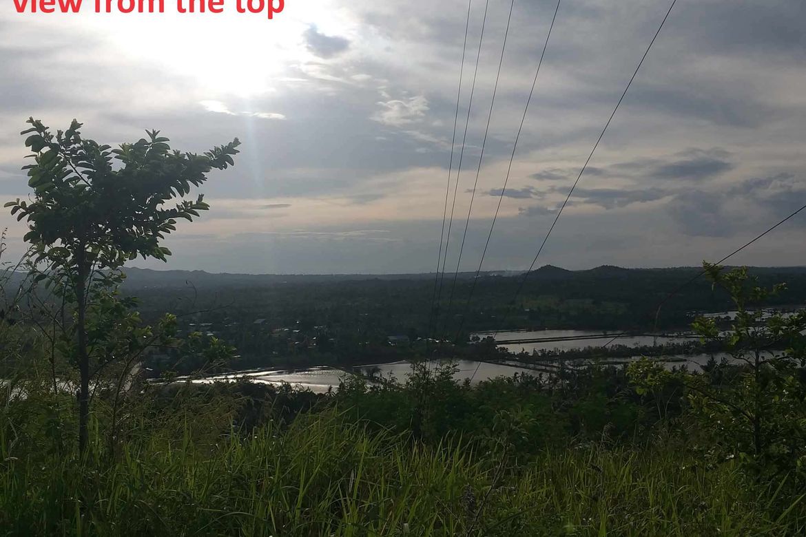 Land for Sale in Lomangog, Ubay, Bohol – photo 4