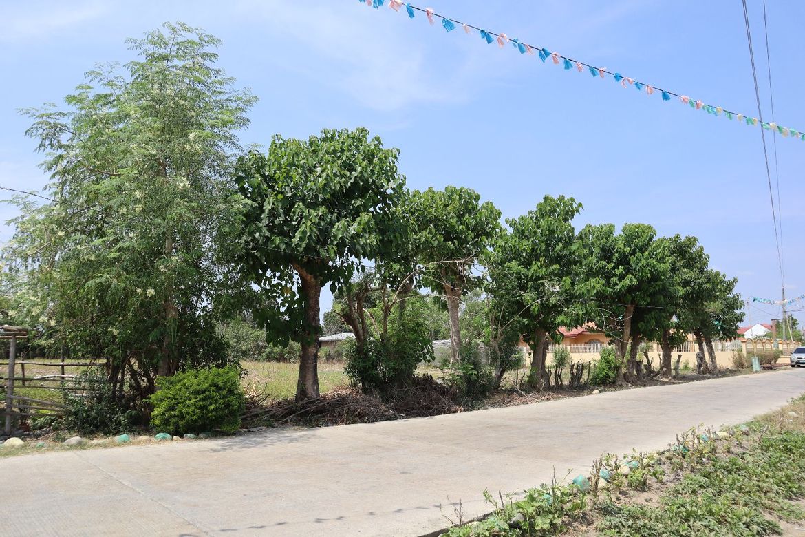 Land for Sale in Lomboy, Villasis, Pangasinan