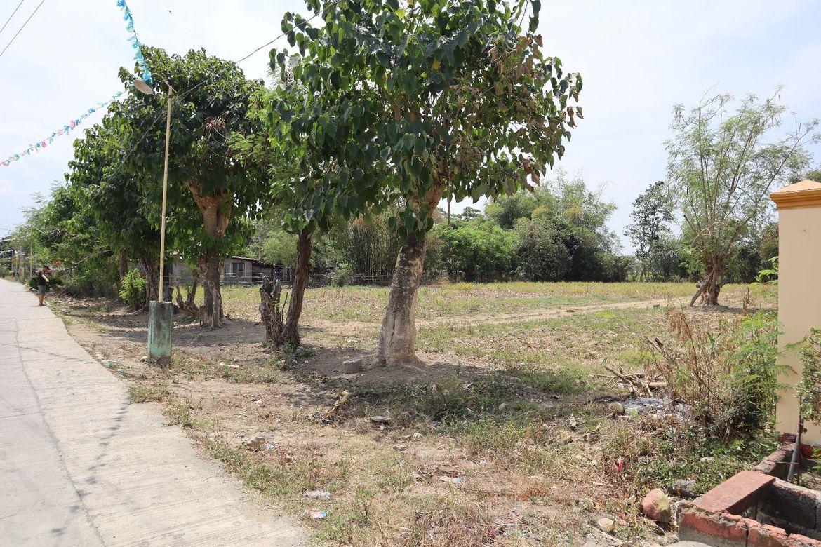 Land for Sale in Lomboy, Villasis, Pangasinan – photo 2