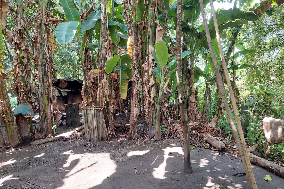 Land for Sale in Longos, Kalayaan, Laguna – photo 3