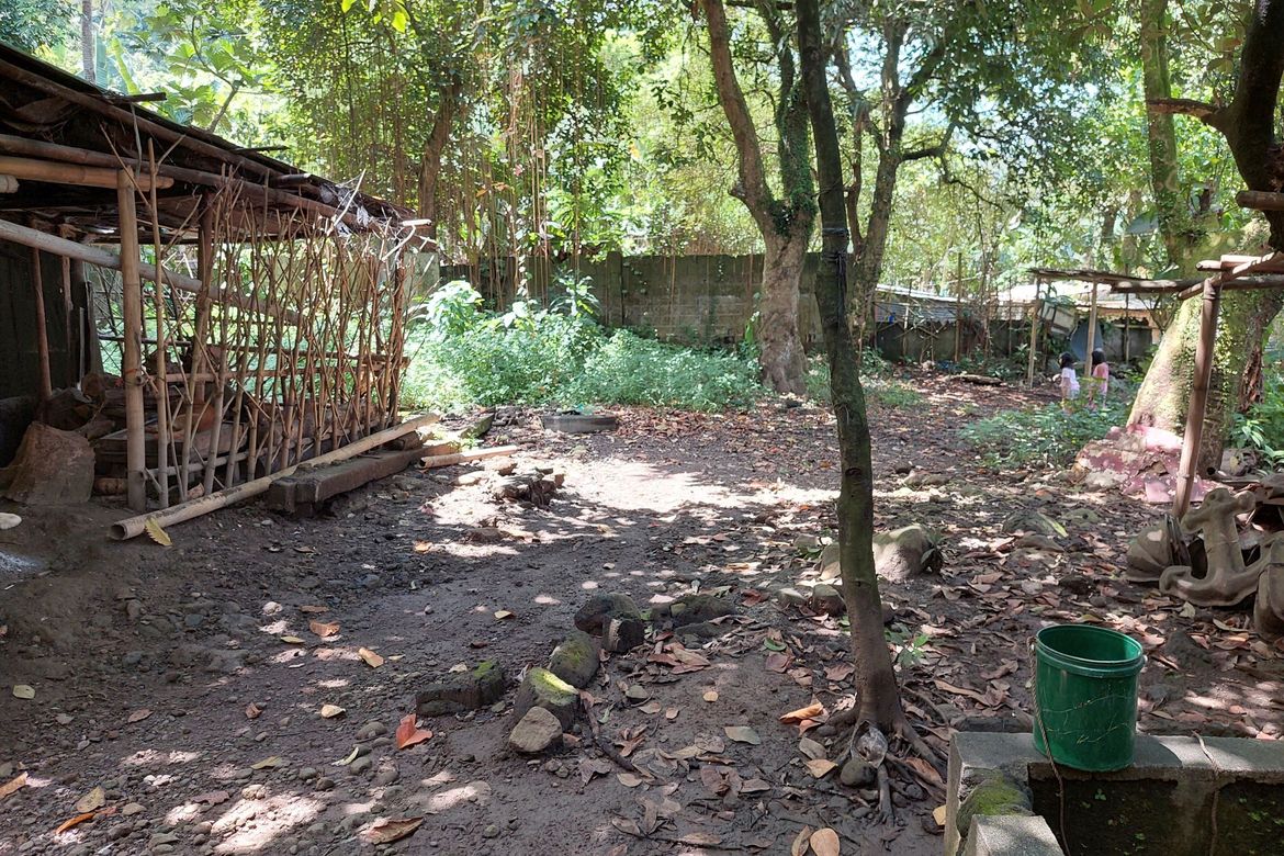 Land for Sale in Longos, Kalayaan, Laguna – photo 4