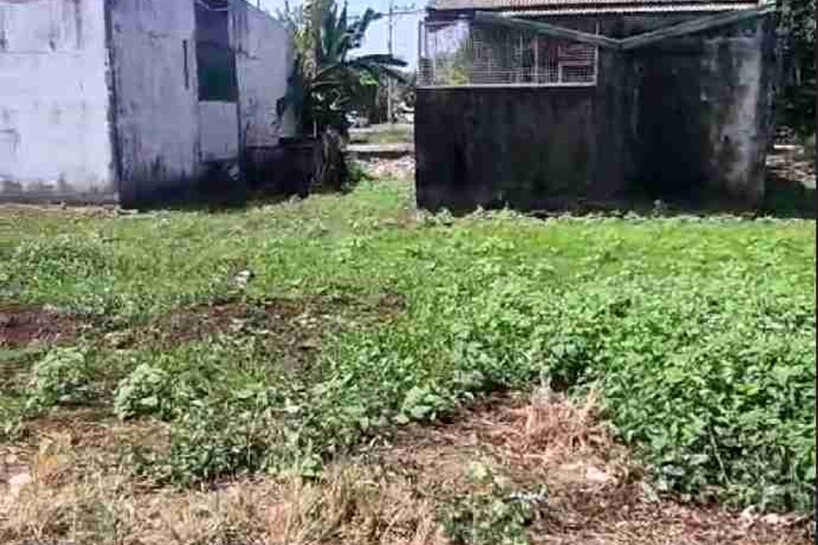 Land for Sale in Longos, Malolos, Bulacan – photo 2