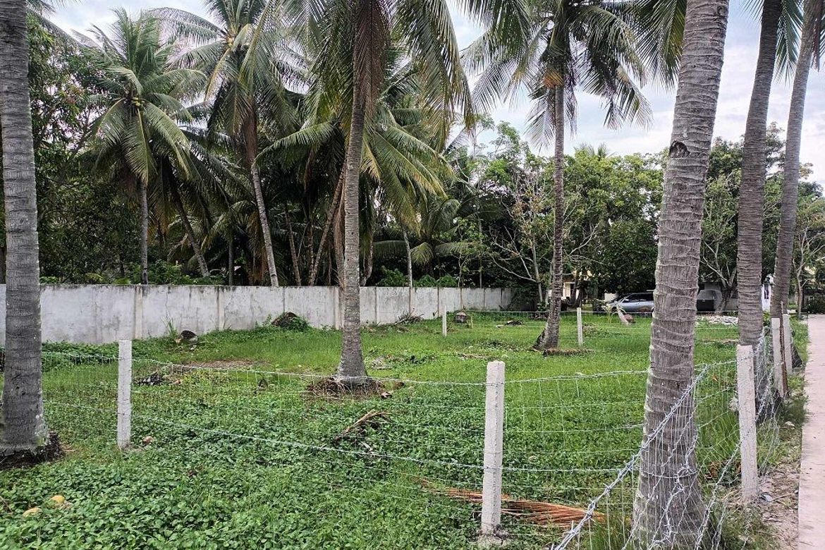 Land for Sale in Looc, Dumaguete, Negros Oriental