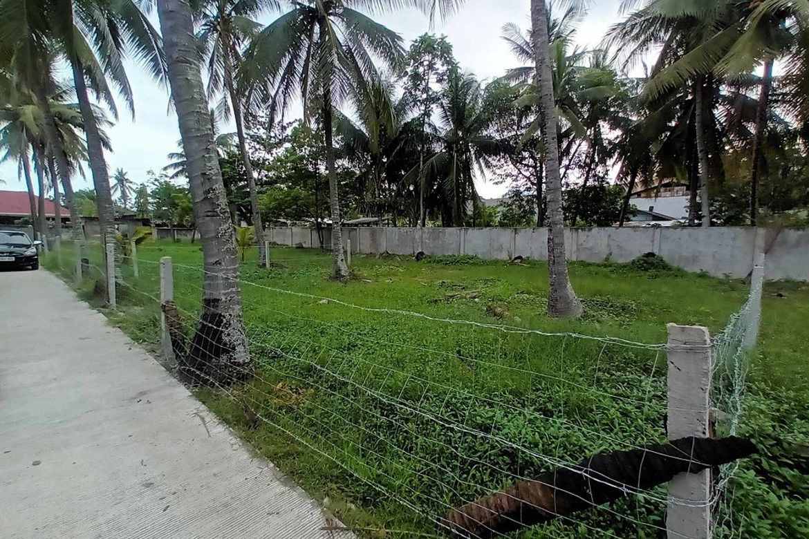 Land for Sale in Looc, Dumaguete, Negros Oriental – photo 2