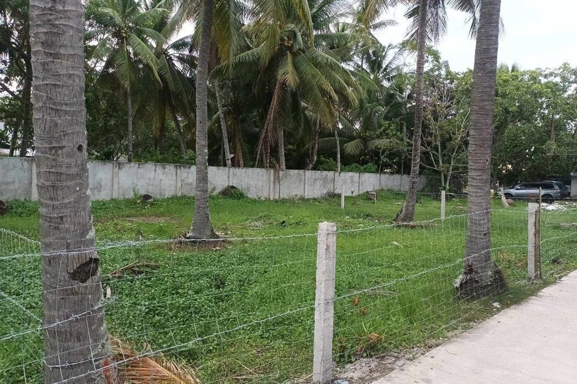 Land for Sale in Looc, Dumaguete, Negros Oriental – photo 3