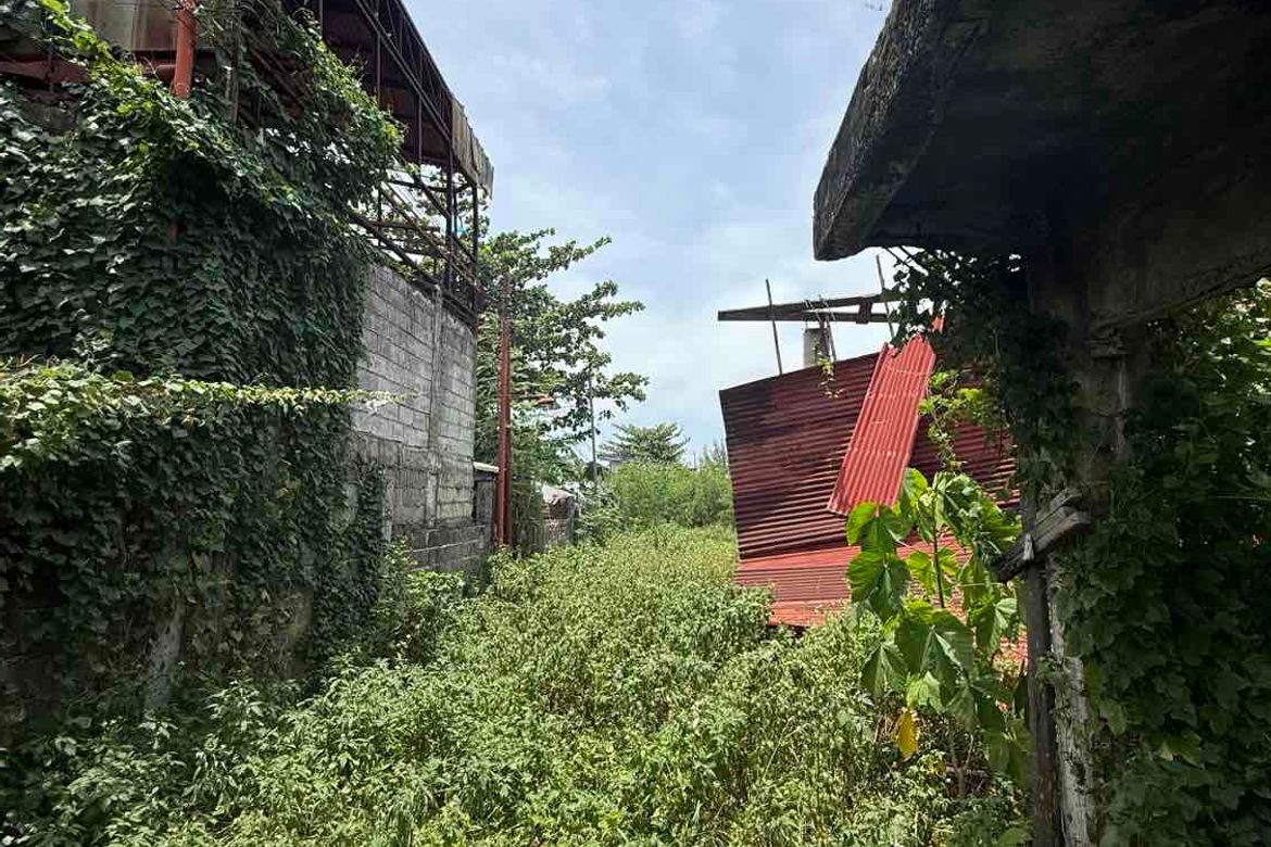 Land for Sale in Looc, Lapu-Lapu, Cebu – photo 6