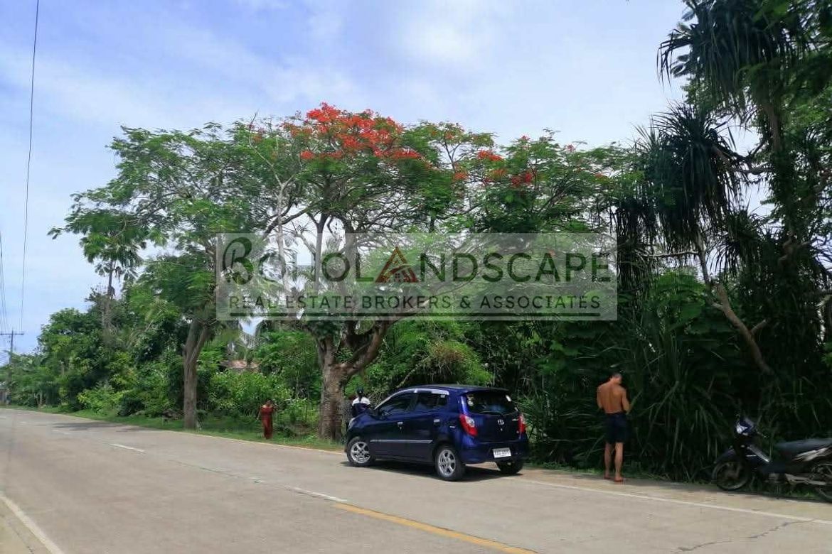 Land for Sale in Looc, Panglao, Bohol – photo 5