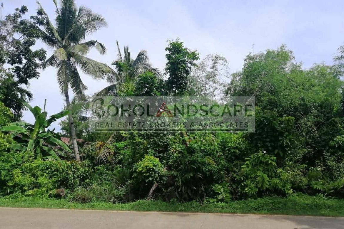 Land for Sale in Looc, Panglao, Bohol – photo 6