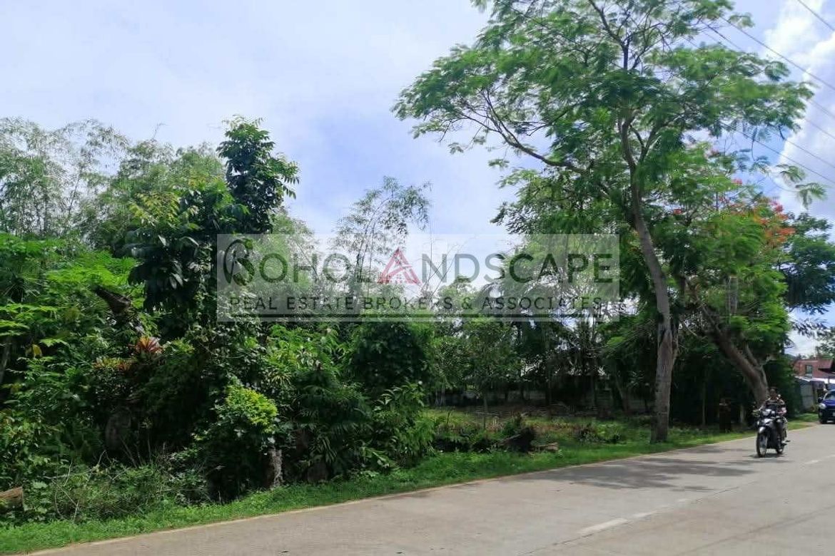 Land for Sale in Looc, Panglao, Bohol – photo 7