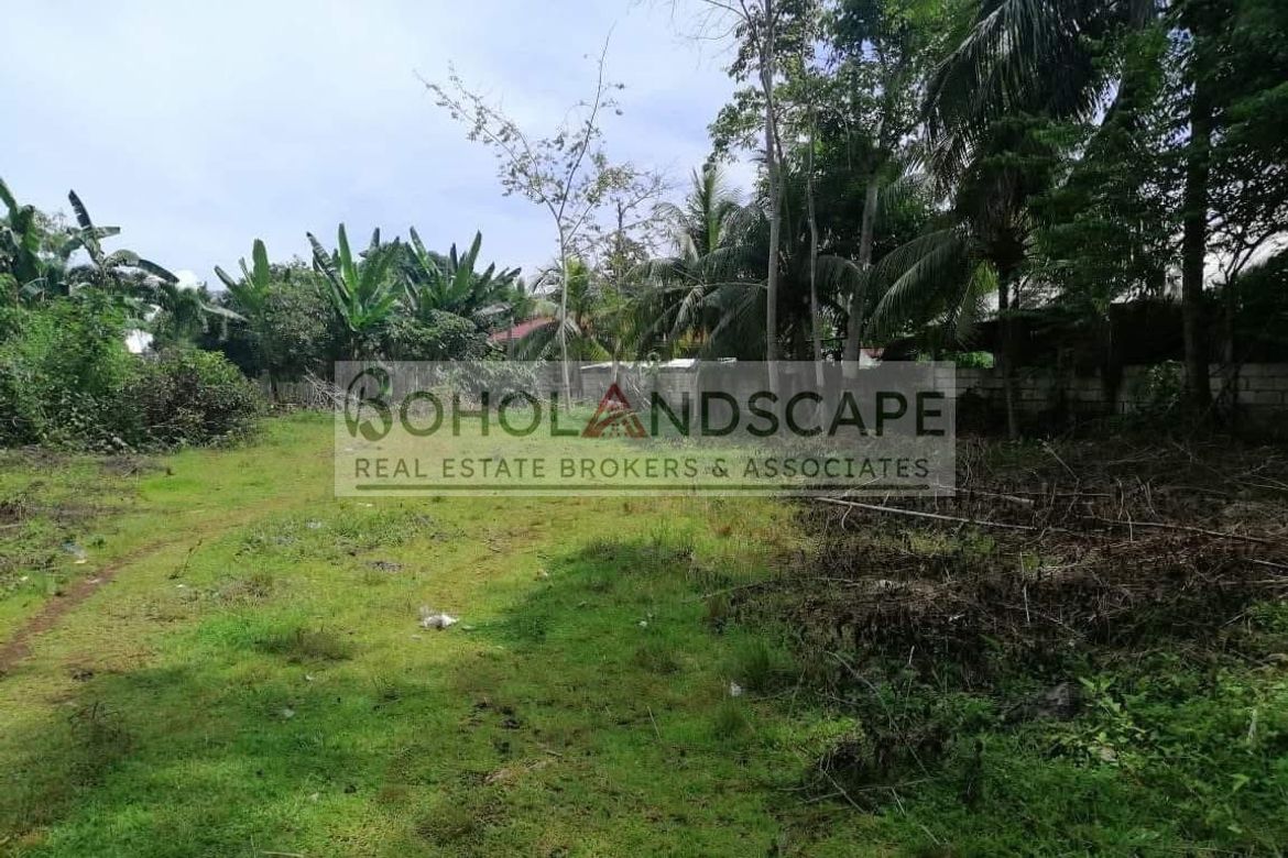 Land for Sale in Looc, Panglao, Bohol – photo 8