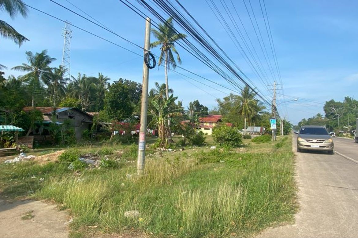 Land for Sale in Looc, Panglao, Bohol – photo 4