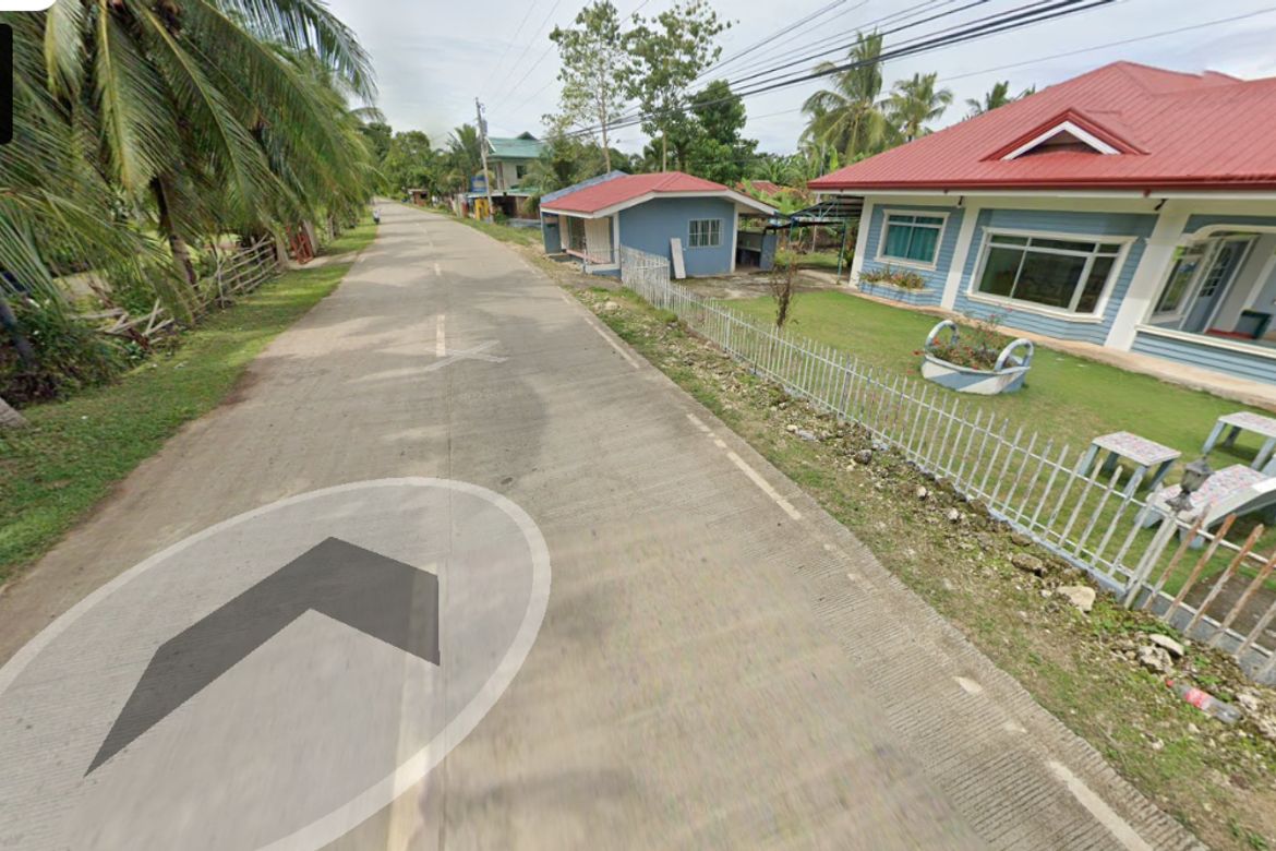 Land for Sale in Looc, Panglao, Bohol