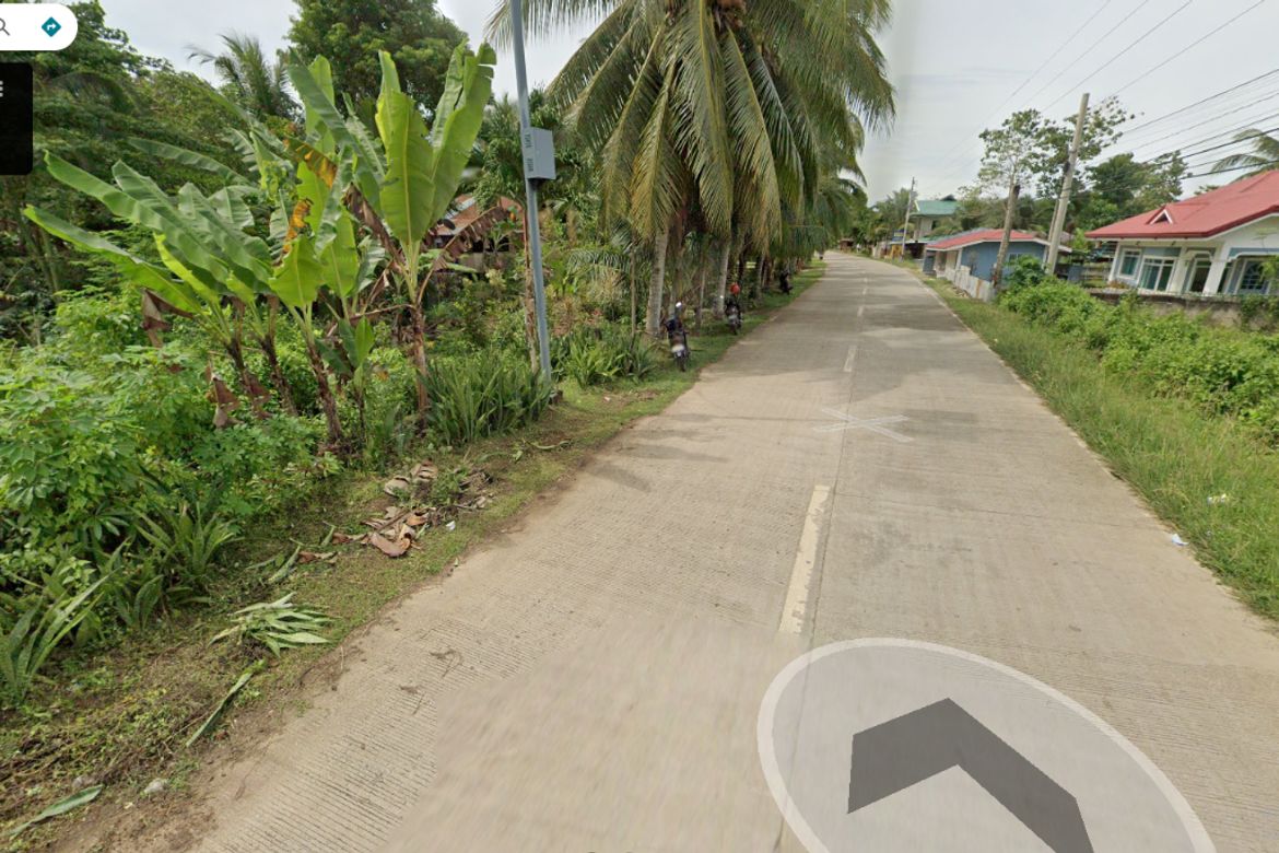 Land for Sale in Looc, Panglao, Bohol – photo 3